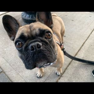 Meet your Posher, Cindy